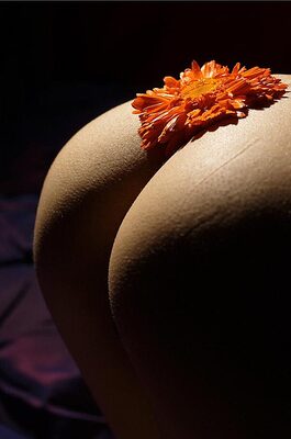 Bodyscape 07