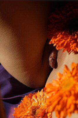 Bodyscape 11