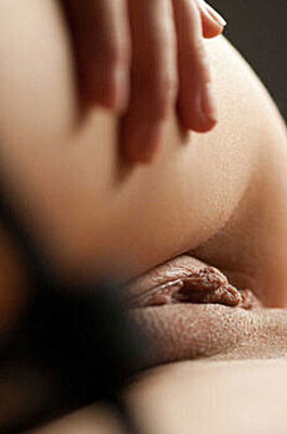 Shelby Carver 12