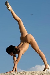 Flexible body